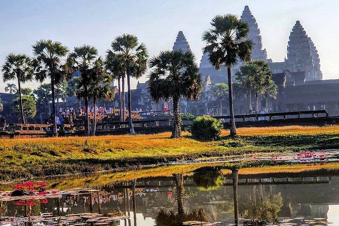 Private Guided Tours-Sunrise Angkor Wat, Ta Prohm, Bayon and more - The Sum Up