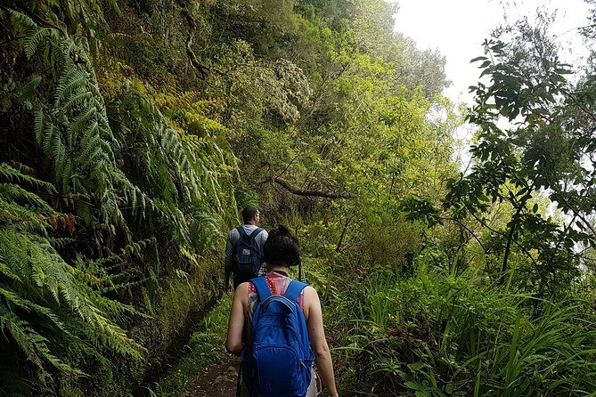 Private Guided Walk Levada Caldeirao Verde - Final Thoughts
