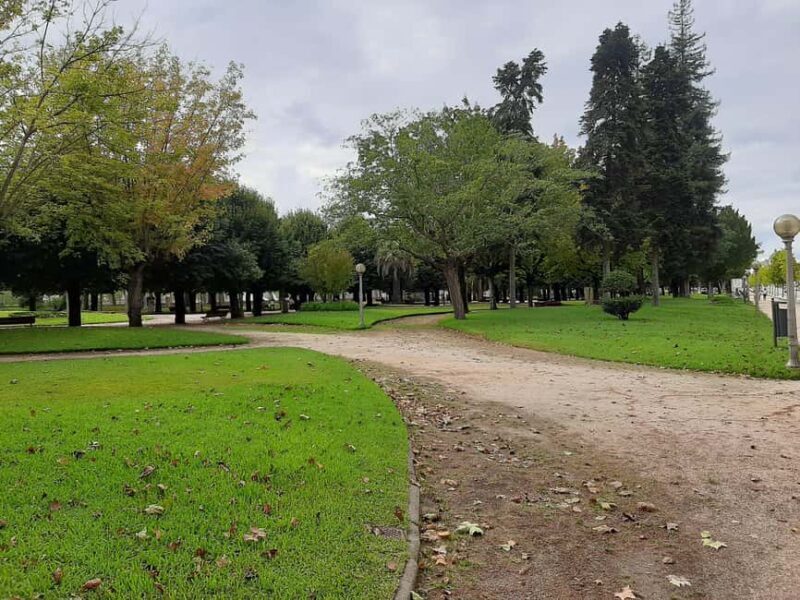 Private guided walking tour in Coimbra (8 hours) - Practical Aspects and What to Expect