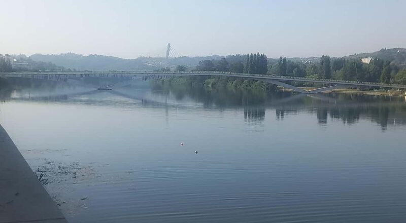 Private guided walking tour in Coimbra (8 hours) - Who Would Enjoy This Tour Most?