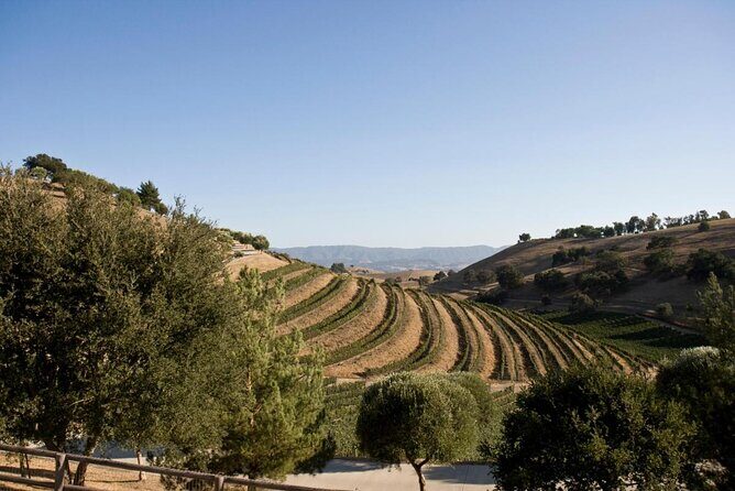 Private Guided Wine Country Tour from Santa Barbara - What to Expect from the Santa Barbara Private Wine Tour