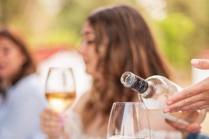 Private Guided Wine Tasting with Tour of the Vineyards in Vieste - Key Points