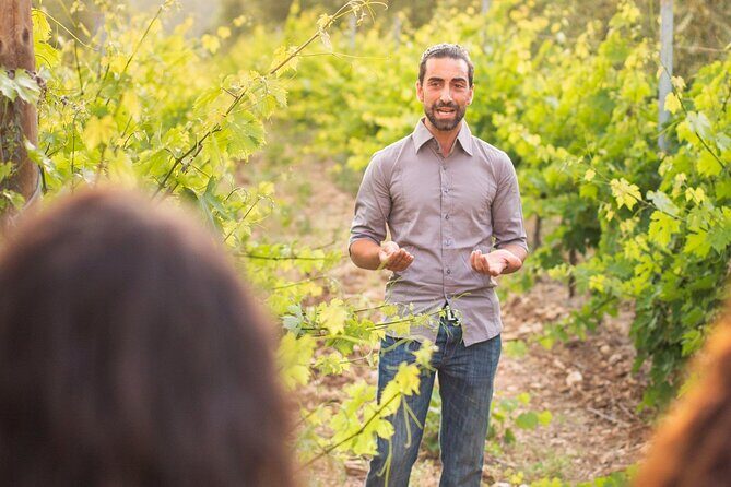 Private Guided Wine Tasting with Tour of the Vineyards in Vieste - Who Should Book This Tour?