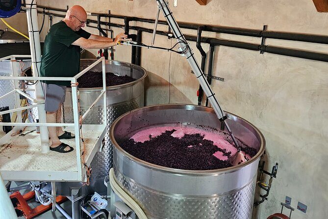 Private Guided Wine Tour of Napa Valley - Introduction: Experience Napa on Your Terms