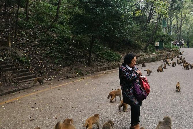 Private Guiyang Day Tour including Qingyan Ancient Town and Qianling Park - The Value of This Tour