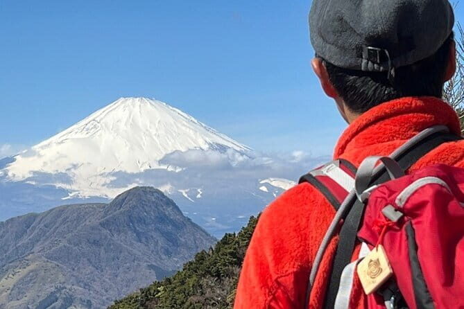 Private Hakone Half-day Tour with Hotel Pickup and Japanese guide - Final Thoughts