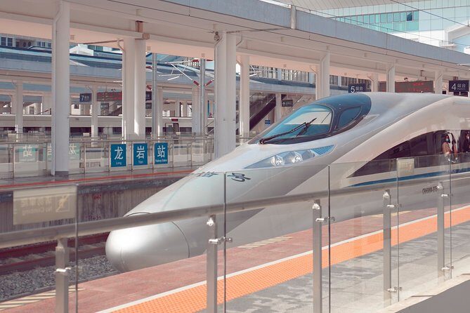 Private Hakone Tour - View of Mt. Fuji, Nature and Culture - Who Is This Tour Best For?