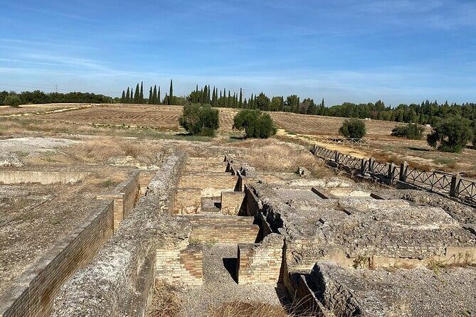 Private hald day tour to the historic roman city of Italica - Who Should Consider This Tour?