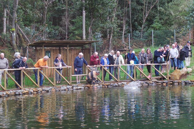 Private Half-Day 4X4 Experience: East or West - Who Is This Tour Best For?