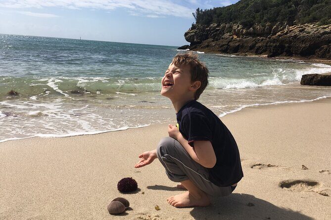 Private Half Day Arrabida Tour with Wine Tasting in Sesimbra - FAQ