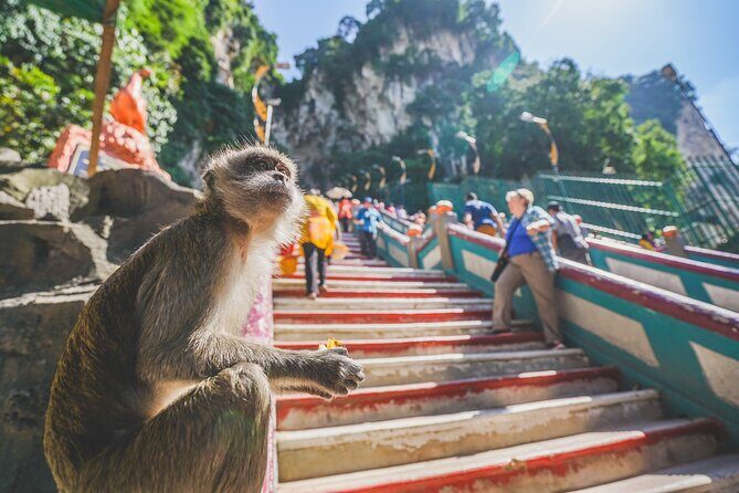 Private Half-Day Batu Caves and Cutural Tour in Kuala Lumpur - Little India Brickfields: A Colorful Introduction to Local Life