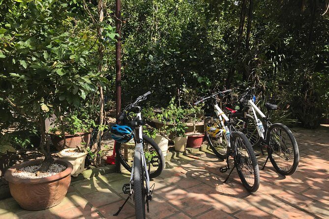 Private Half-Day Bicycle Guided Tour Explore The Countryside Of Nha Trang - An In-Depth Look at the Experience