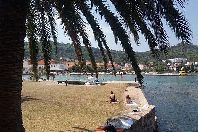 Private Half-Day Boat Tour to nearby Islands in Zadar with Drinks - Who Should Book This Tour?