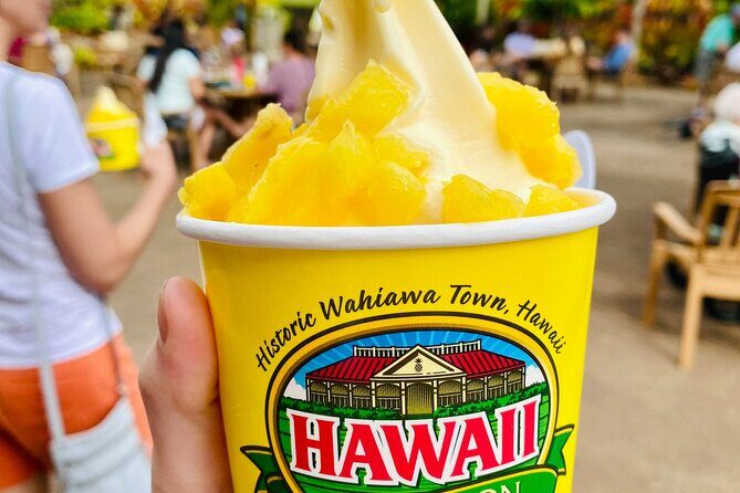 Private Half-Day Circle Island Highlights Tour in Oahu - Key Points