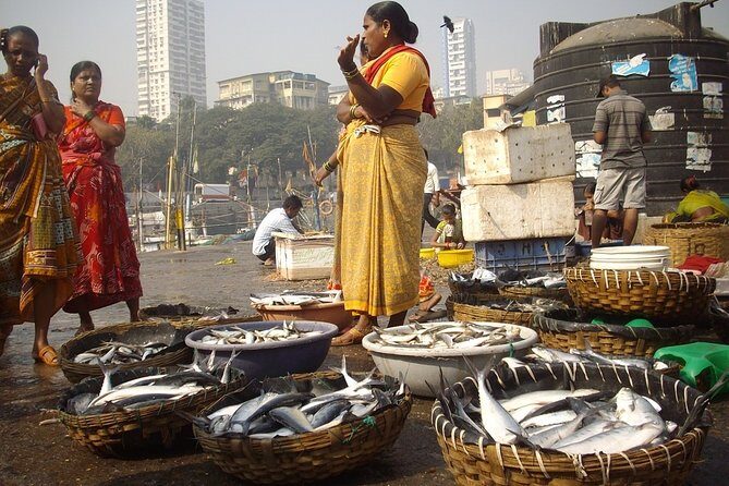 Private Half-Day City Tour of Mumbai - Final Thoughts: Who Should Consider This Tour?