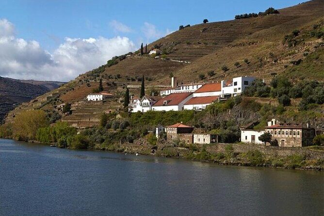 Private Half-Day Douro Tour - The Experience in Detail
