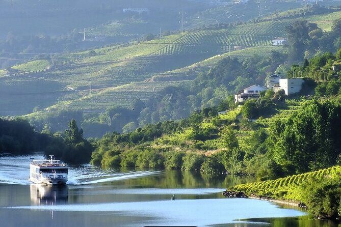 Private Half-Day Douro Tour - Who Should Book This Tour?