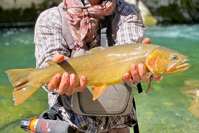 Private Half-day Fly Fishing - Exploring the Private Half-day Fly Fishing Tour in Jackson Hole