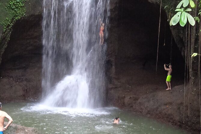Private Half Day Heritage and Cultural Ubud Tour - All Inclusive - Who This Tour Is Best For