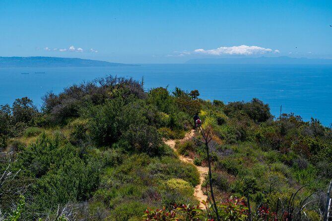 Private Half Day Hidden Hollywood Tour - Analyzing Price and Value