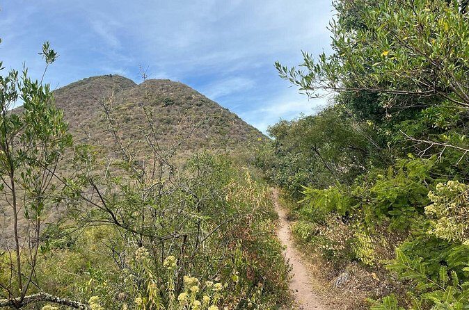 Private Half Day Hiking Experience in Picacho - A Detailed Look at the Hiking Experience