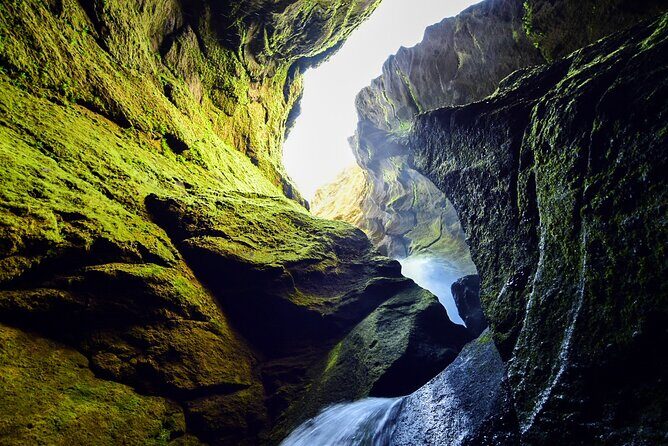 Private Half Day Iceland Tour with Guide and Vehicle - Frequently Asked Questions