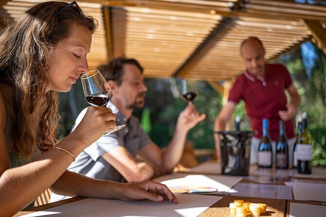 Private Half-Day Languedoc Wine Tour from Sète - Exploring the Itinerary: What to Expect