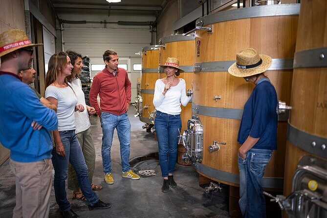 Private Half-Day Languedoc Wine Tour from Sète - What Makes This Tour Standout?