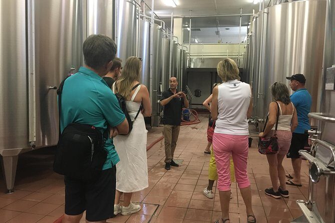 Private Half-Day Languedoc Wine Tour from Sète - The Sum Up