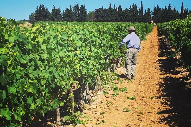 Private Half-Day Languedoc Wine Tour from Sète - FAQ