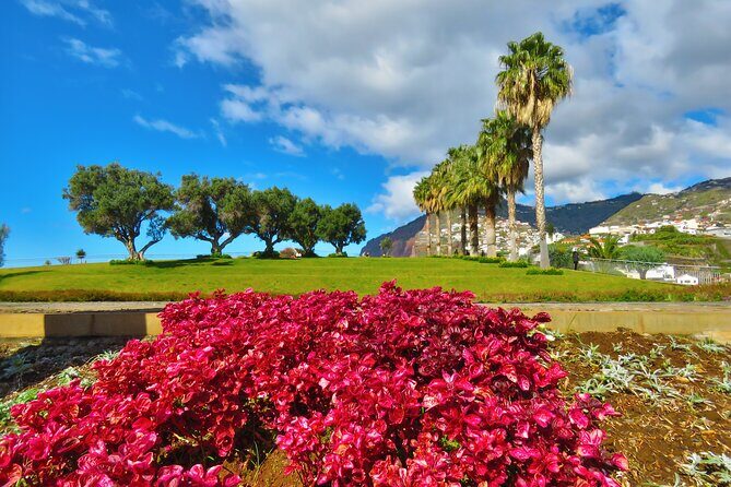 Private Half-Day Morning 4x4 Tour from Funchal - What Travelers Say About This Tour