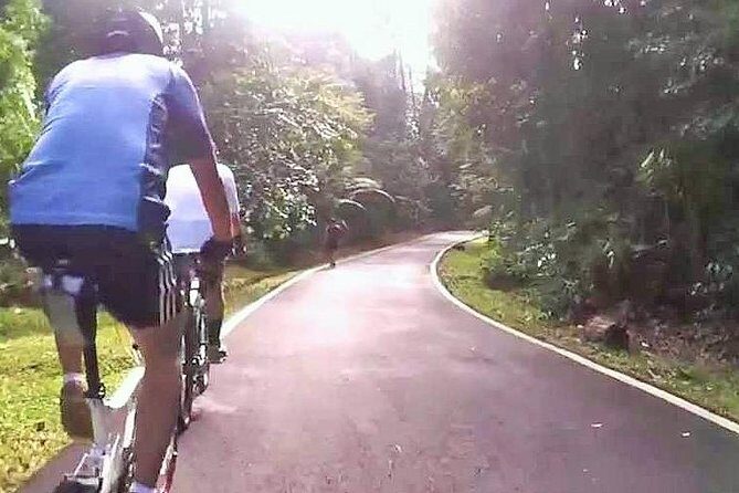 Private Half-Day National Botanic Garden Cycling Tour from Kuala Lumpur - Key Points