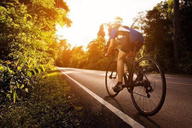 Private Half-Day National Botanic Garden Cycling Tour from Kuala Lumpur - A Detailed Look at the Tour Experience