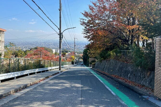 Private Half-Day Osaka Kita Guided Tour - FAQs