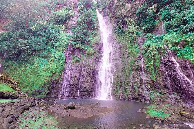 Private Half-Day  Papeete City & East Coast Nature - An In-Depth Look at the Tour Experience