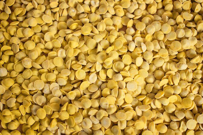 Private Half Day Parma Food Walking Tour - The Experience and the Guides