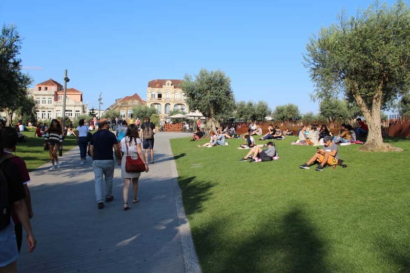 Private Half-Day Porto Tour By Car - Who Will Love This Tour?