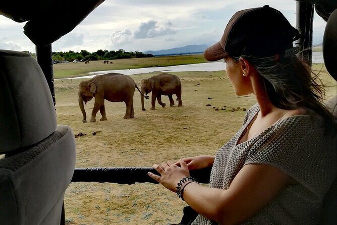 Private Half Day Safari in Udawalawe National Park - What to Keep in Mind