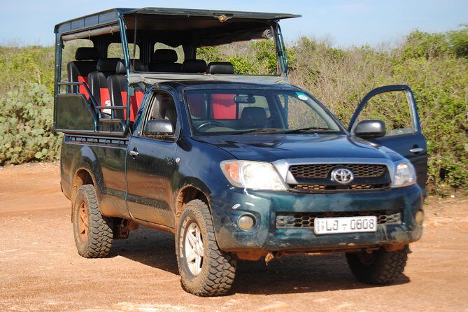 Private Half Day Safari Tour to Yala NP From Tangalle and Drop Back - Key Points