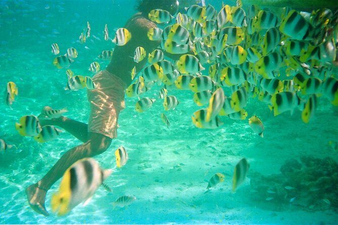 Private Half Day Sailing Excursion on the Lagoon of Tahiti - Final Thoughts