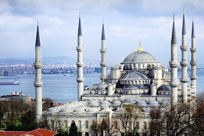 Private Half Day Shore Excursion: Hagia Sophia, Hippodrome, Blue Mosque and Grand Bazaar From Istanbul - Who Will Love This Tour?