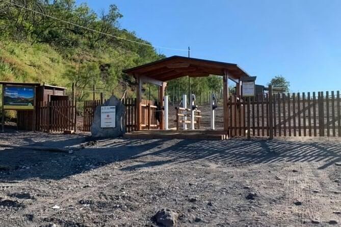 Private Half-Day Sightseeing Tour of Vesuvius National Park - Pricing and Overall Value