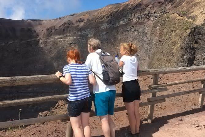 Private Half-Day Sightseeing Tour of Vesuvius National Park - Who Would Enjoy This Tour?