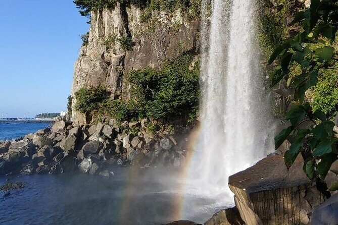 Private Half Day South and West Tour in Jeju Island - The Overall Experience