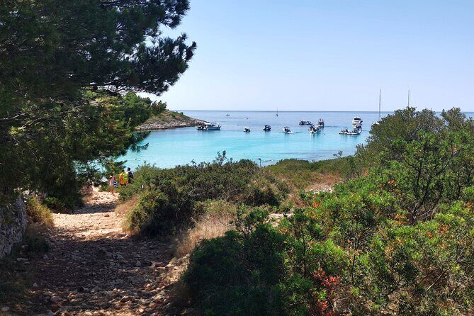 Private Half Day Speedboat tour to Kornati National Park - Pricing & Value