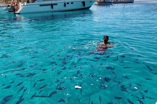 Private Half Day Speedboat tour to Kornati National Park - The Sum Up