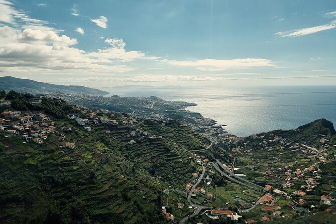 Private Half day tour (8 seat Mercedes Vito) - Value and Cost Analysis