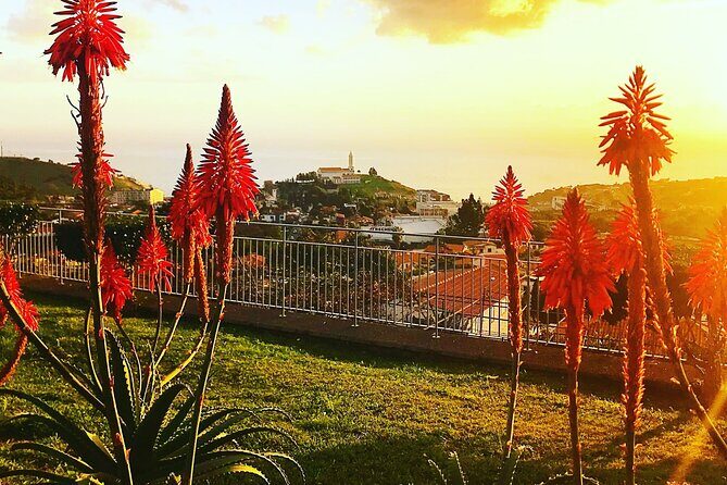 Private Half day tour around Madeira Island - Who Is This Tour Best Suited For?