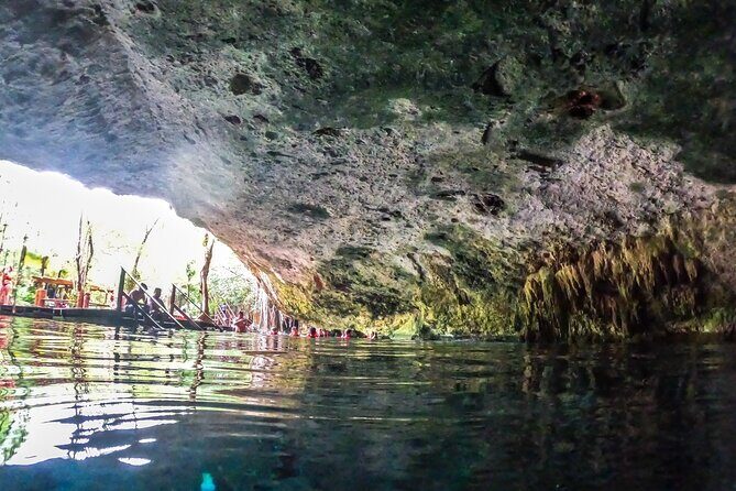 Private Half day Tour Cenote Cave and Snorkeling - What Travelers Say (Based on Reviews)
