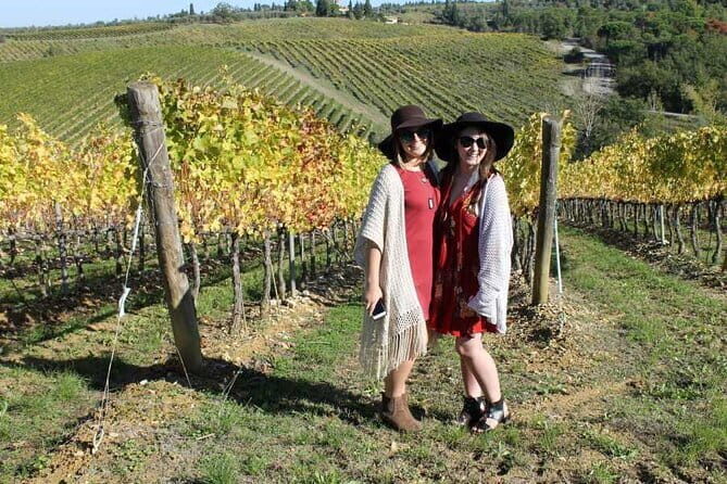 PRIVATE Half-Day Tour: Chianti Classico Wine Experience. - What Makes This Tour Stand Out?